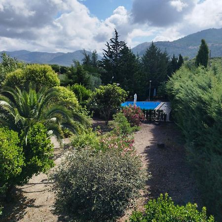 Villa Rosario ラ・イルエラ エクステリア 写真